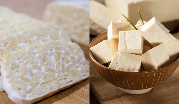 Naturell tempehblock och naturell tofu i kuber
