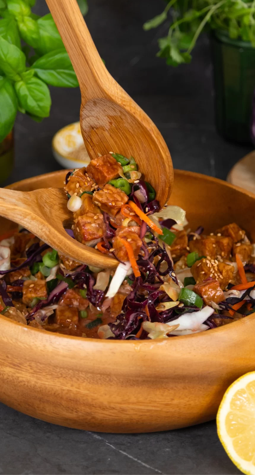 Bilden visar krispig asiatisk sallad med tempeh