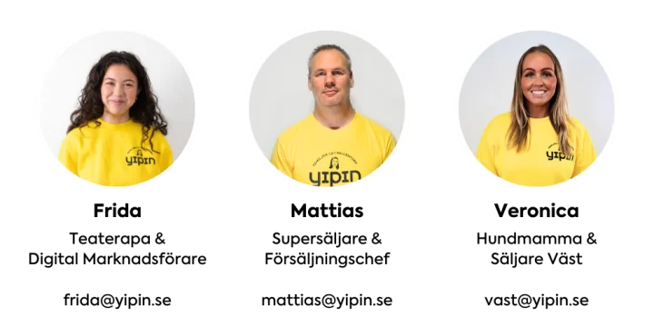 Bilden visar säljteamet på Yipin